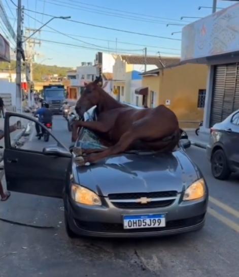 Grave acidente envolvendo veículo e um cavalo é registrado no bairro Camoxinga em Santana do Ipanema 