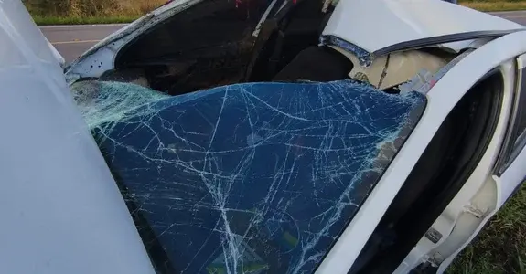 Carro de vereador de Pariconha colide com cavalo em rodovia de Alagoas