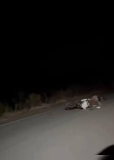 Mulher morre após moto colidir com animal na AL-145, em Água Branca