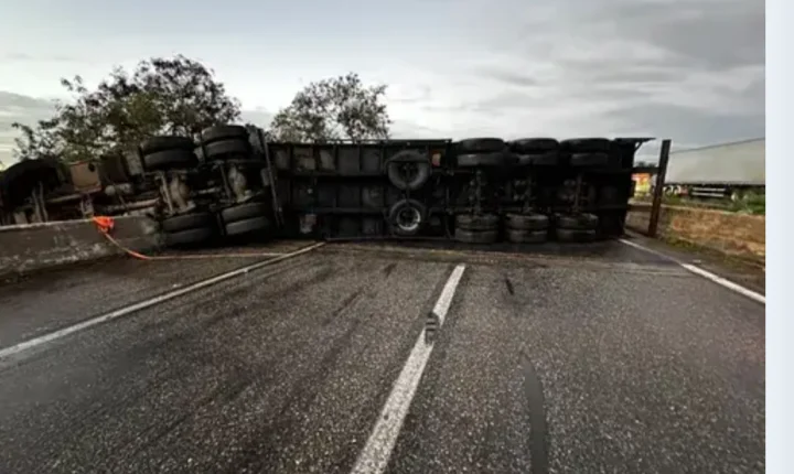 Capotamento de carreta com madeira deixa 5 feridos e bloqueia BR-101 em Alagoas