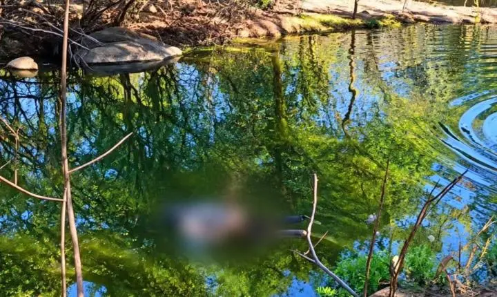 Corpo de homem é encontrado em riacho na zona rural de Mata Grande, no Sertão de Alagoas
